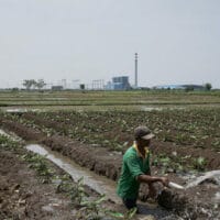 A farmer is watering crops in the vicinity of the Indramayu 1 power plant in West Java, financed by a consortium of Chinese and Indonesian banks. In recent years, local pollution and climate concerns have driven up Chinese overseas investment in renewables. (Image: Adi Renaldi / China Dialogue)