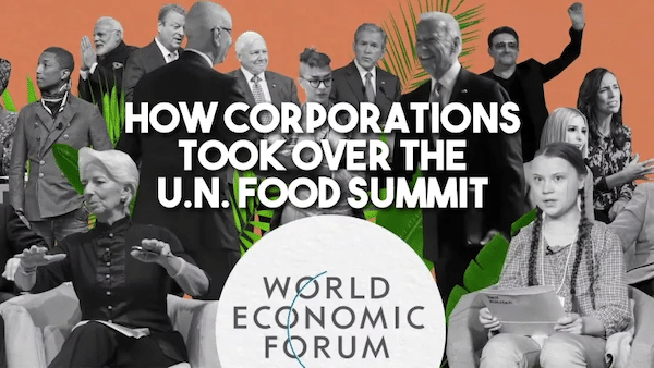 | How big corporations and Bill Gates took over the UN food Summit | MR Online