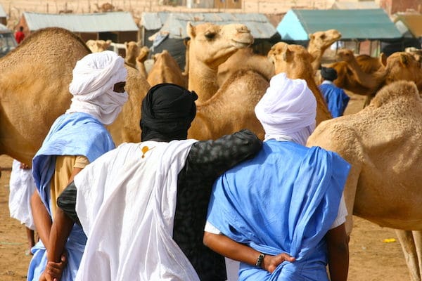 | Camel market in Nouakchott Mauritania 2008 | MR Online