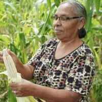 A woman from the Matagalpa's Rural Women's Cooperative of the Rural Workers' Association (ATC) shucks corn. Photo: Friends of the ATC