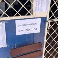 | Bilwi Voting Center 2 close up of JVR staff site identification 3 | MR Online