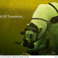 WWF Global Warming Ad_1