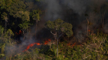 | Aerial image of a wildfire near the Jacundá Flona in Rondônia | MR Online