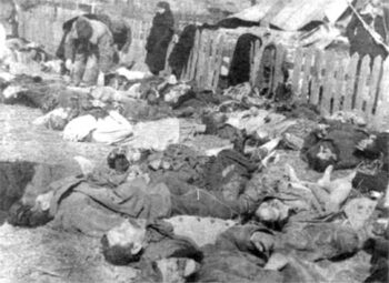 | Civilian victims of a 1943 massacre by OUN fighters | MR Online