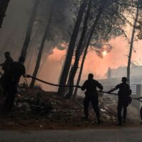Police officers help firefighters to extinguish a fire in Thrakomakedones, near Mount Parnitha, north of Athens