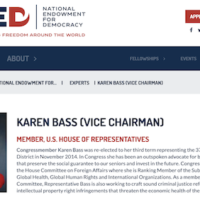 Congresswoman Karen Bass is running for mayor of Los Angeles. She's also Vice Chair of the NED, the CIA's soft power arm.