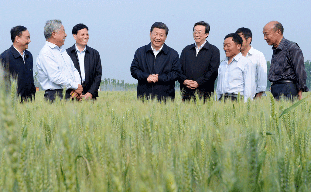 | Xi Jinping centre on an agricultural inspection tour in Henan on 9 10 May 2014 | MR Online