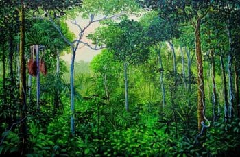 | Miguel Penha Brazil Mata Verde Green Jungle 2017 | MR Online