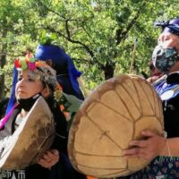 | Mapuche protest in Chile using signs in their language defending their right to cultural independence and land recovery Credit photo Pressenza International News Agency | MR Online