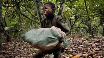 | Nestlé child laborer in the Ivory Coast Source changeorg | MR Online