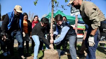 | Santiago is planting 30000 trees across the city and plans to establish | MR Online'pocket forests' to act as cooling centers