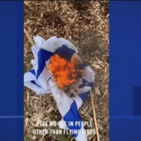 A 16-year-old teenager was arrested for burning an Israeli flag in Montreal. (Photo: video grab)