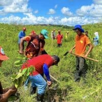 | In the Atalaia Alagoas the Carlos Marighella Brigade of the MST organized tree planting next to the Paraíba River Photo Mykesio Max | MR Online