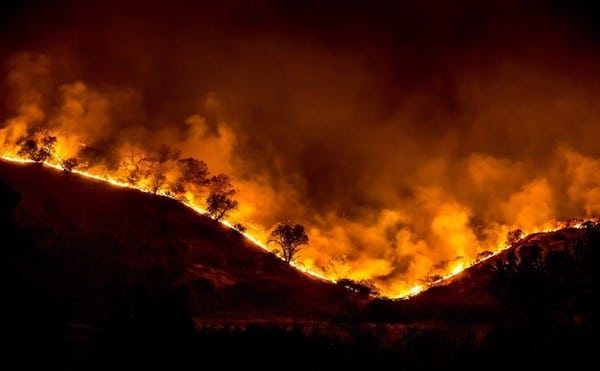 | Tree ridge in flames during the 2018 Woolsey Fire that burned in Los Angeles and Ventura Counties California Photo courtesy Peter BuschmannUnited States Forest ServiceWikimedia Commons | MR Online