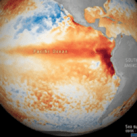 | Satellite images showing sea surface temperature anomaly as of May 17 2023 | Photo Twitter ESA EO | MR Online