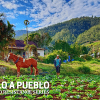 A campesino plows the land with animal traction in Carache, the epicenter of Pueblo a Pueblo. (Venezuelanalysis)