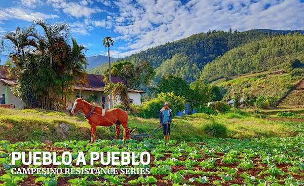 | A campesino plows the land with animal traction in Carache the epicenter of Pueblo a Pueblo Venezuelanalysis | MR Online