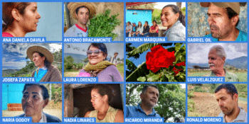 | Ana Daniela Dávila is a member of the Pueblo a Pueblo systematization and distribution team | Antonio Bracamonte is a producer in Carache and a spokesperson for the Bolívar and Chávez Commune | Carmen Marquina is a producer in Carache | Gabriel Gil is a member of the Pueblo a Pueblo Coordination Team | Josefa Zapata is a producer in Carache | Laura Lorenzo is the National Coordinator of Pueblo a Pueblo | Luis Velázquez is a producer in Carache | María Godoy is a producer in Carache | Nadia Linares is a producer in Carache | Ricardo Miranda is a member of the Pueblo a Pueblo Coordination Team | Ronald Moreno is a producer in Carache Voces Urgentes | MR Online