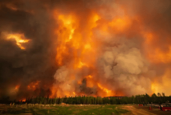 | Alberta is the province with the most wildfires this year including this blaze west of Fox Creek | MR Online
