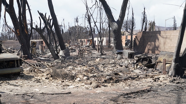 | Lahaina post wildfire devastation Photo Master Sgt Andrew Jackson | MR Online