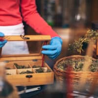 | A worker organizes dry cannabis buds for sale at a legal dispensary Photo Getty OtherWords | MR Online
