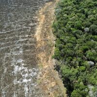 | In 2023 deforestation in the Amazon rainforest dropped to pre Bolsonaro levels FLORIAN PLAUCHEUR AFP | MR Online