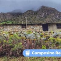 A Gavidia landscape and campesino home. (Voces Urgentes)