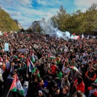 | Paris Pro Palestine Protest | MR Online