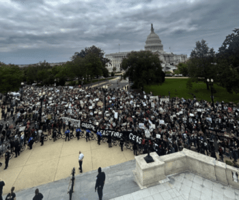 | THOUSANDS OF JEWISH ACTIVISTS GATHER IN DC TO DEMAND GAZA CEASEFIRE JEWISH VOICE FOR PEACE TWITTER | MR Online