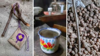 | The potato flower left is the symbol for Gavidias Native Potato Project Voces Urgentes | MR Online