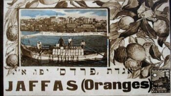 | Jaffa oranges were a symbol of Palestinian agriculture before the Nakba Alma Films | MR Online