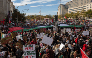 | Demonstrators gather at Freedom Plaza during the National March on Washington Free Palestine while calling for a ceasefirePHOTO BY PROBAL RASHID VIA GETTY IMAGES | MR Online