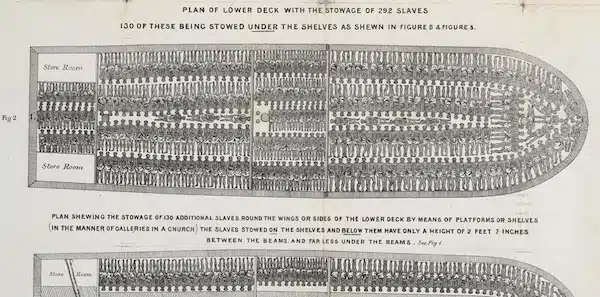 | Stowage of the British slave ship Brookes under the regulated slave trade act of 1788 | MR Online