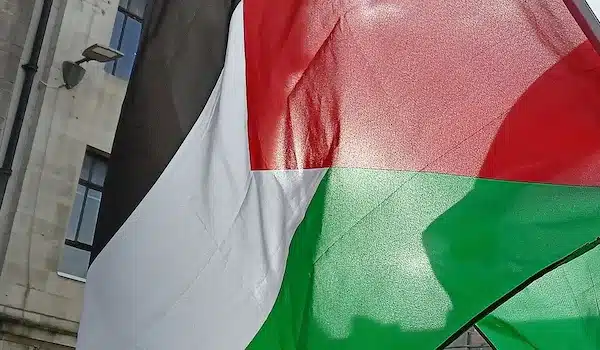 MR Online Part 5 | httpswwwcounterfireorgarticlejewish activist told to remove palestine flag responds | MR Online