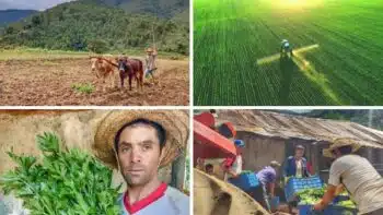 | Conventional farming vs campesino farming Voces Urgentes and Thinktalk | MR Online