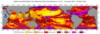 | NOAA 41524 found temperature levels in every ocean high enough to cause coral bleaching | MR Online
