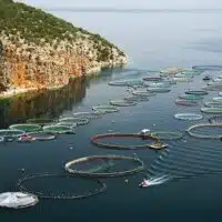 Fish farm in Saronic Gulf