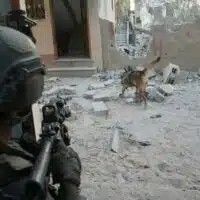 An Israeli soldier operates in the Gaza Strip with a dog from the army's canine unit in January, 2024.Credit: IDF Spokesperson's Unit