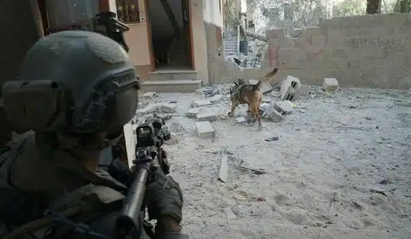 | An Israeli soldier operates in the Gaza Strip with a dog from the armys canine unit in January 2024Credit IDF Spokespersons Unit | MR Online