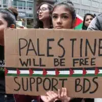 BDS ACTIVISTS IN NEW YORK CITY (PHOTO: JOE CATRON)