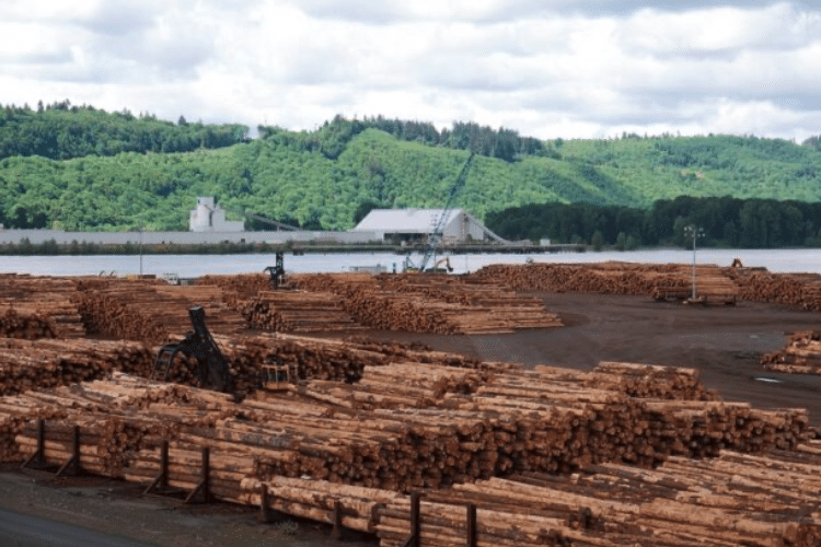 | Logs awaiting export at the port of Longview CCSam Beebe | MR Online