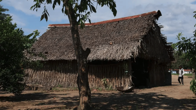 | Structure covered with palm leaves in 5 de Julio Las Pavas Communal Council Rome Arrieche | MR Online