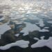 Sea Ice Patterns NASA Goddard Space Flight Center